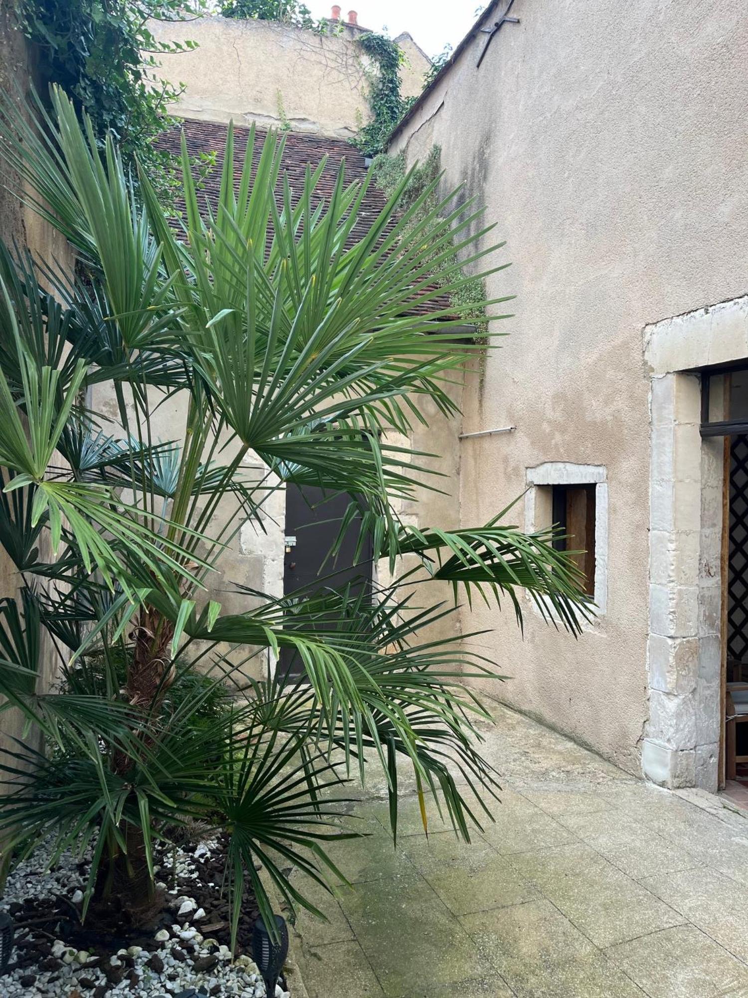 Cosy Appartement Hyper Centre Ville Avec Cour + Patio Auxerre Exteriör bild